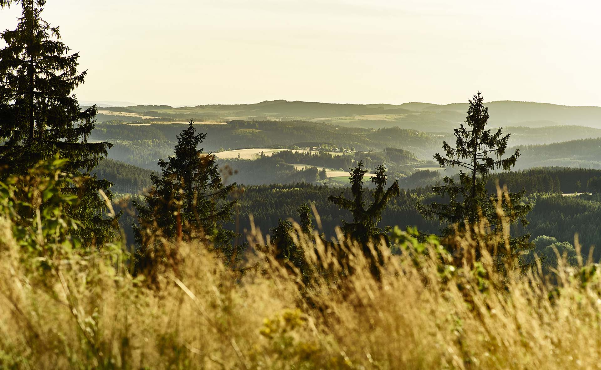 Panoramablick über den Frankenwald
